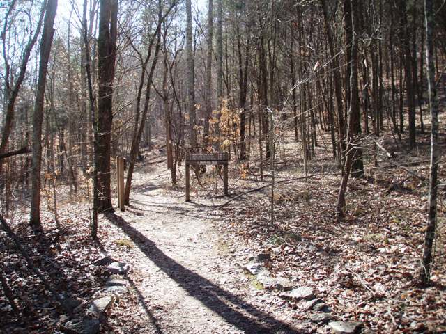 Beaman Park: A Review