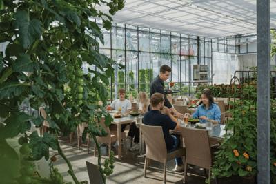 Friðheimar Tomato Farm 