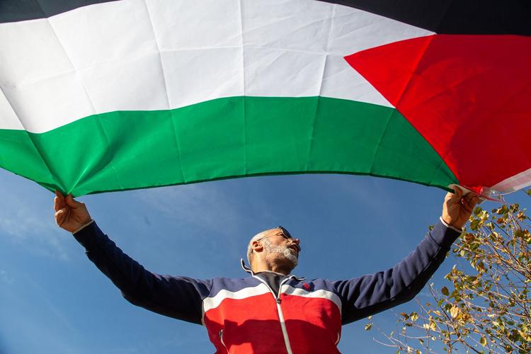 111123PalestineProtestNashville-02.png