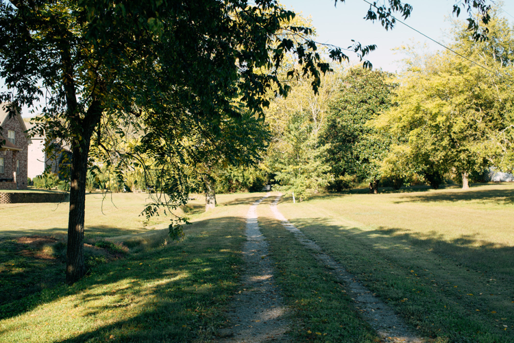 Walk a Mile: Whites Creek