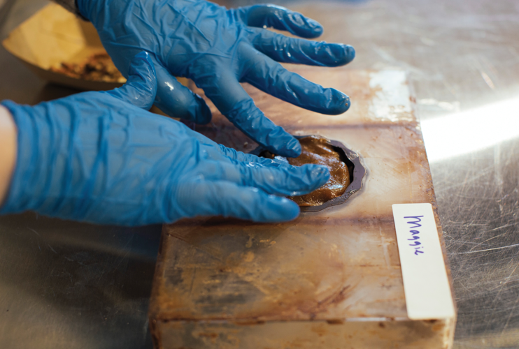 Sugar Shock: Gaga for Goo Goo