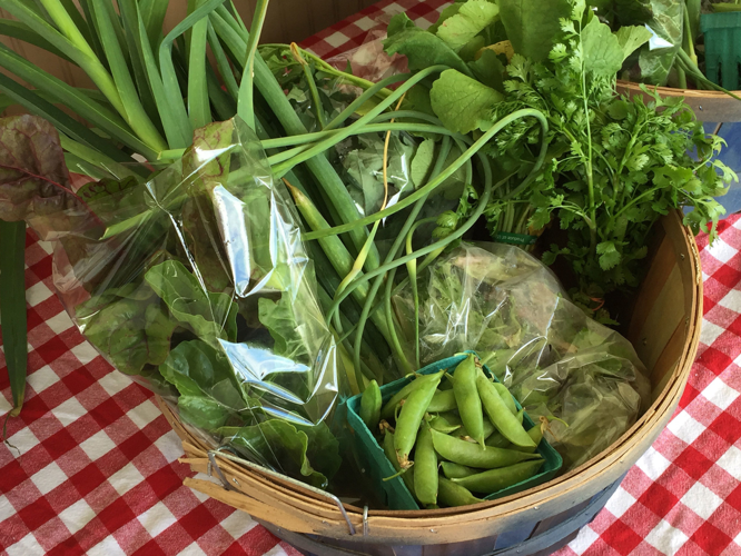 Here Are Some Area Suppliers for Your Seasonal CSAs