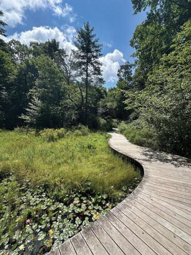 Highlands Botanical Gardens