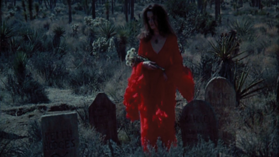 Bette Midler, ’70s Vampirism and Mutants, Now (and Soon) Available to Stream