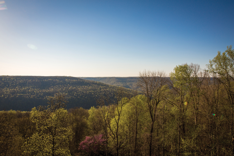 Sewanee's Rivendell Writers' Colony offers writers — and readers — a respite from the day-to-day world
