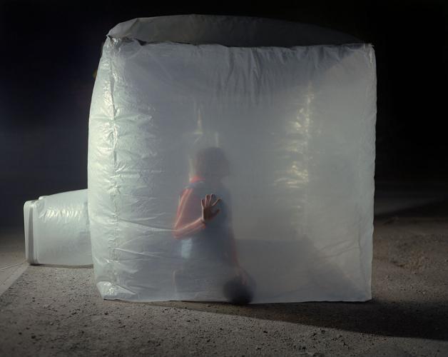art37plastichousebook.jpg
