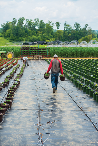 The Uncertain Fate of Migrant Workers and Their Families