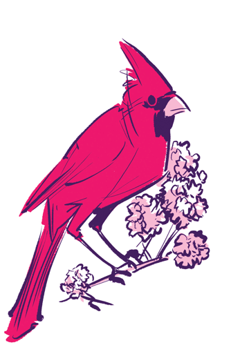 Love Letters to Nashville