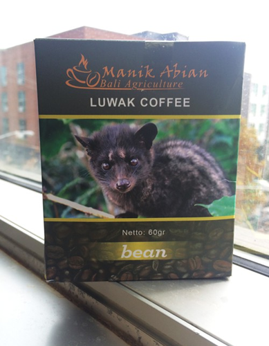 Taste Test: The Straight Poop on Luwak Coffee