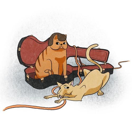 You named the feral cats in your neighborhood Conway Kitty and Purrgill Simpson. —Joseph Rapolla