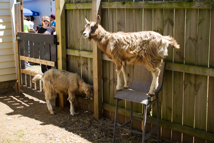 Record Store Day at Fond Object, Grimey's and The Groove, 4/19/14