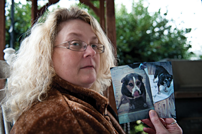 The bizarre shooting of two lost dogs in Old Hickory Village leaves a neighborhood divided