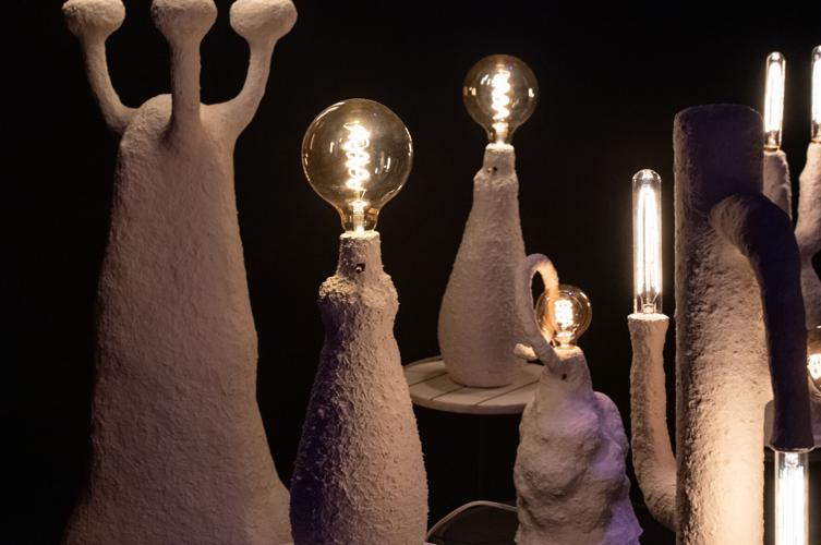 Peering from Blue Shadows high res-12.jpg