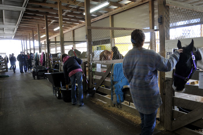 All the Starving Horses