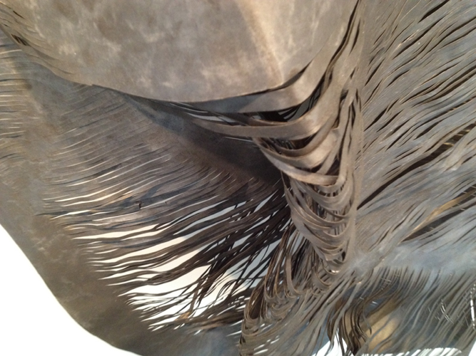 Installation View: Mathilde Roussel's <i>Anatomia Botanica</i> at Cheekwood
