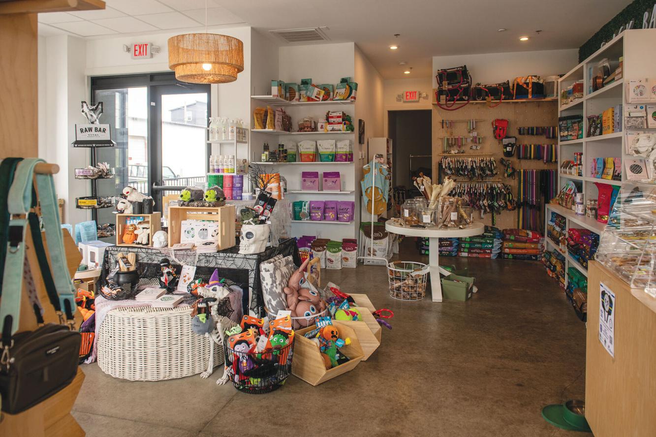 The Modern Dog Company Readerspoll