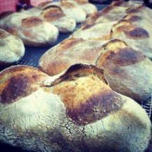 Bella Nashville to Open Bakery on East Side This Spring