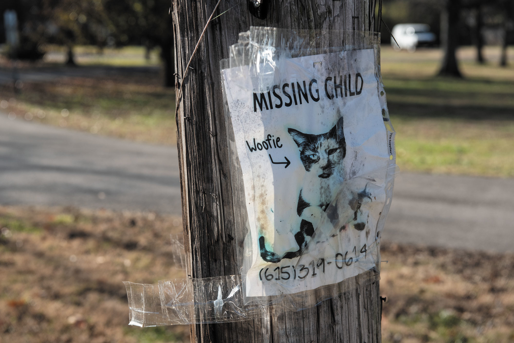 Walk a Mile: Inglewood’s Jackson Park