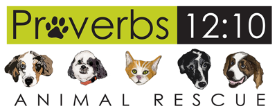 Pup Trivia for Proverbs benefitting Proverbs 12:10 Animal Rescue