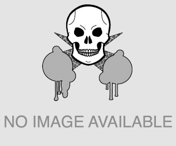 The Privates w/Echo Group and What Up English at The Stone Fox, 8/9/13