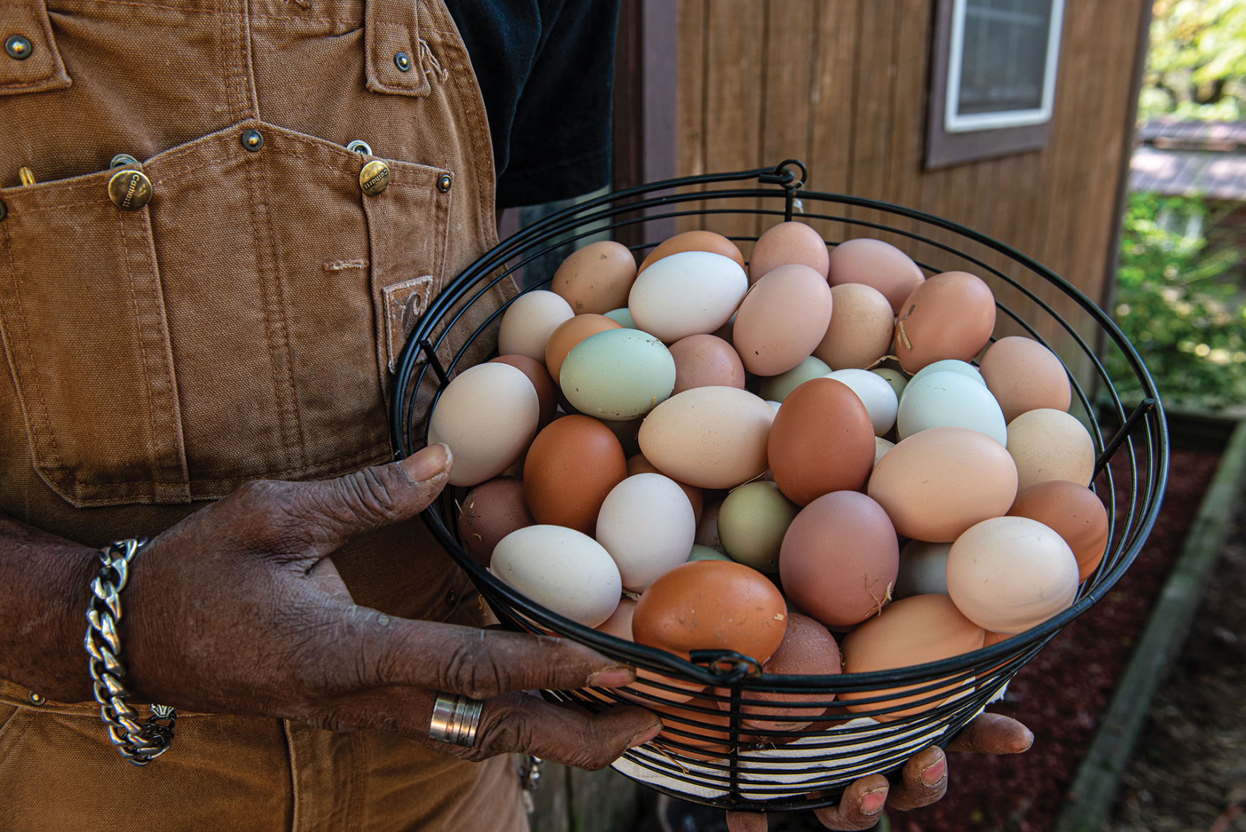 Black Farmers Feed Their Neighbors and Connect With Their Ancestors