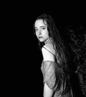 Kristine Potter Reflects on the Southern Gothic Landscape