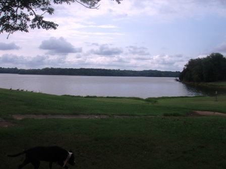 Hamilton Creek Park: A Review