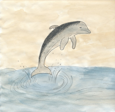 <i>EGGS</i>: 'Hairy Dolphin'