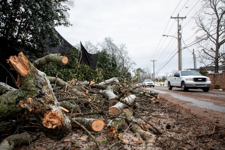 Downed trees following Winter Storm Fern