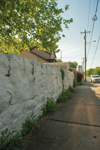 Walk a Mile: Hope Gardens and Buena Vista