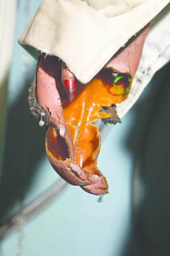 A hot 1980s band has its final residency in a West Nashville bowling alley — if their arms don't fall off. Meet Rock-afire Explosion.