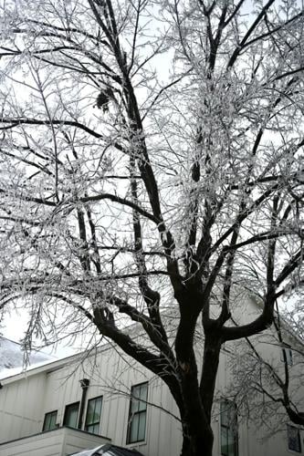 January 2026 Winter Storm