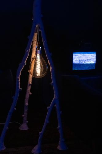 Peering from Blue Shadows high res-13.jpg