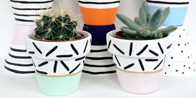 Paint, Sip and Plant Succulents