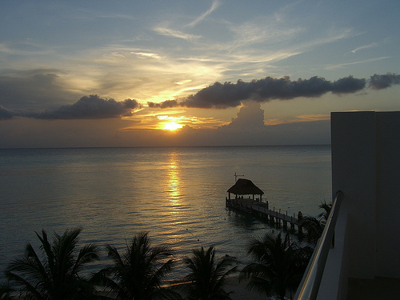 Wandering Wino: Cozu-Mailing It in Edition