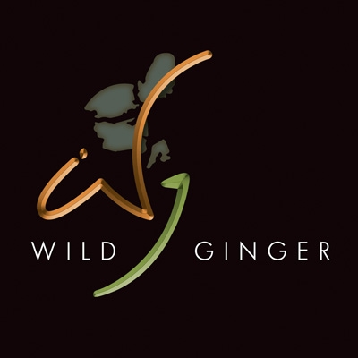 Wild Ginger Sprouting in Cool Springs