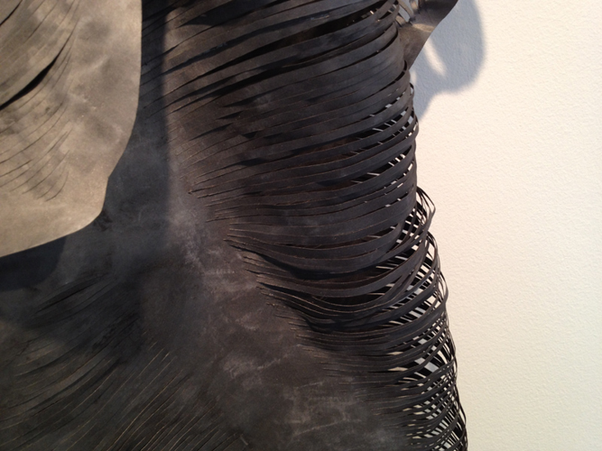 Installation View: Mathilde Roussel's <i>Anatomia Botanica</i> at Cheekwood
