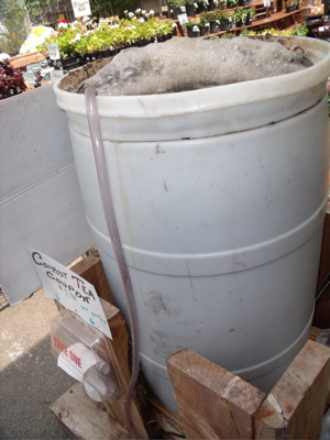 Tea Time: Give Plants a Cuppa Compost