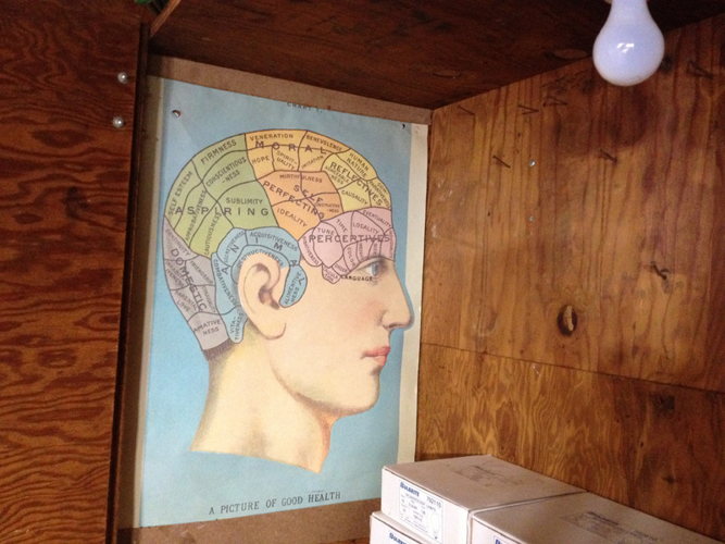 Studio Visit: Luke Stockdale's Sideshow Sign Company