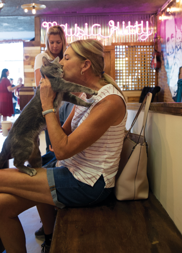 The Pet Issue 2018: A Cause for Paws