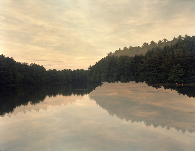 Critic/Ally: Caroline Allison