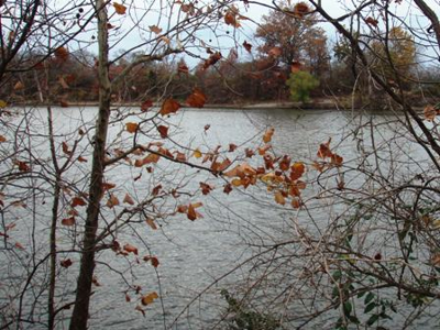 Cleeces Ferry: A Nerdy, Grammatical Aside