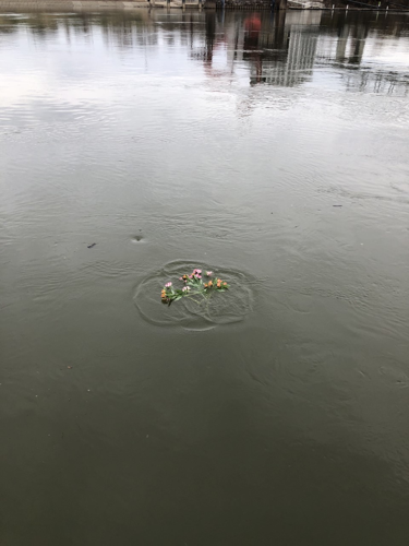 Paying Tribute to Those Who Passed in the Homeless Community