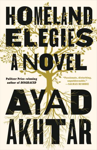Ayad Akhtar Creates a Powerful Literary Assemblage in <i>Homeland Elegies</i>