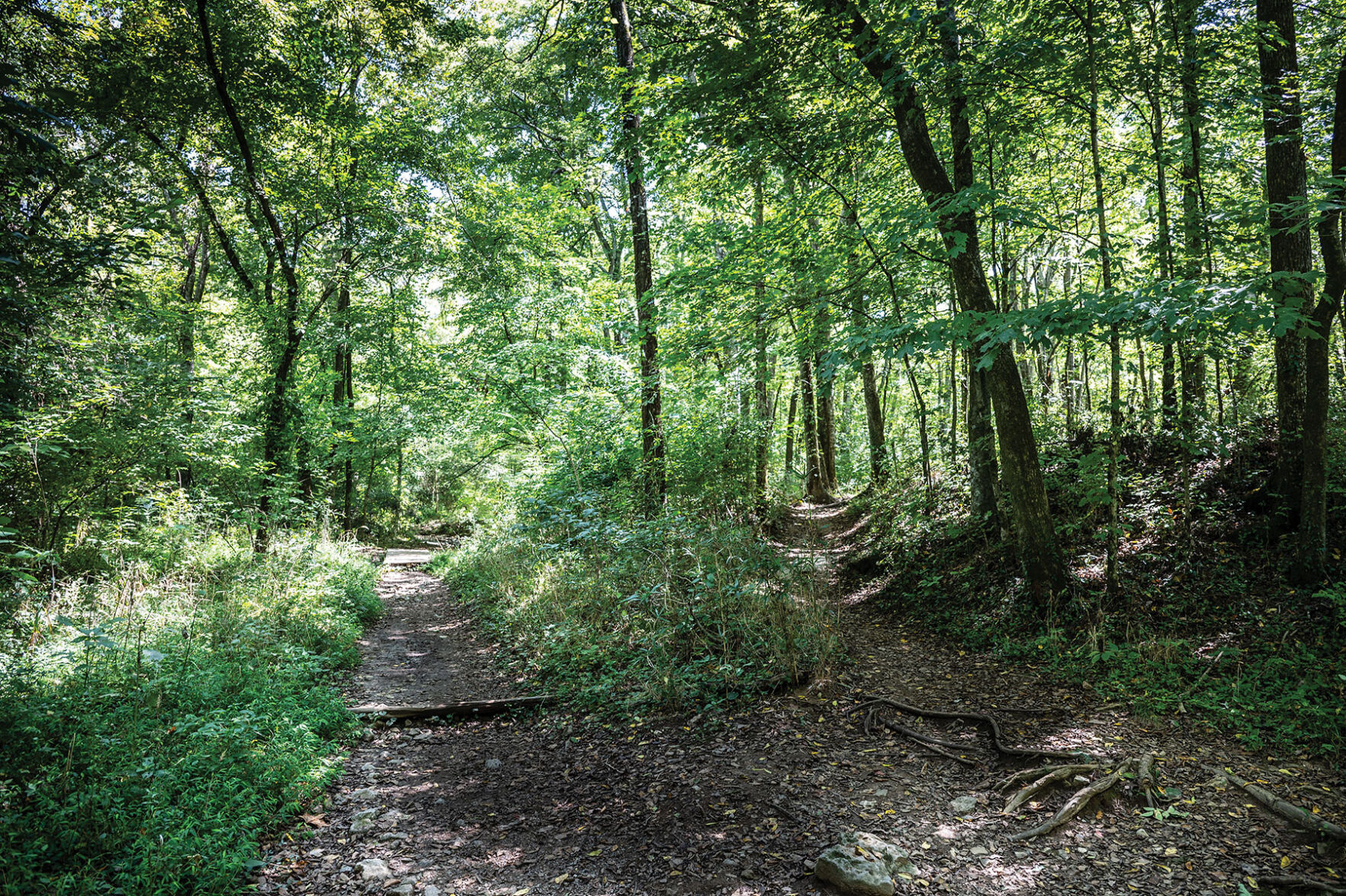 Edwin Warner Park