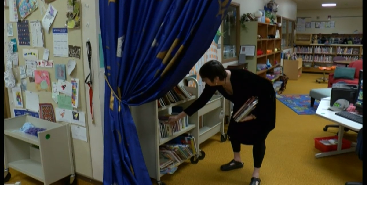 The life of a modern day school librarian: School Librarian Day News