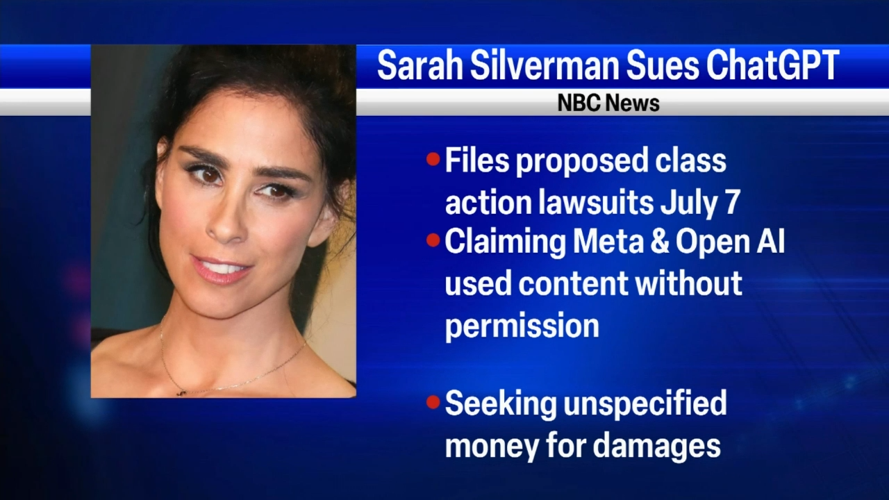 Sarah Silverman Sues Meta, OpenAI For Copyright Infringement ...