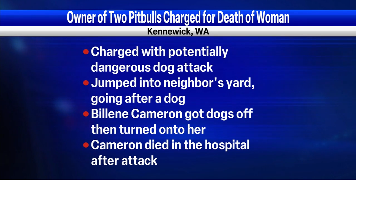 Pit bull owner facing charges in deadly attack Video