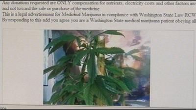 Medical marijuana listed in Craigslist ads