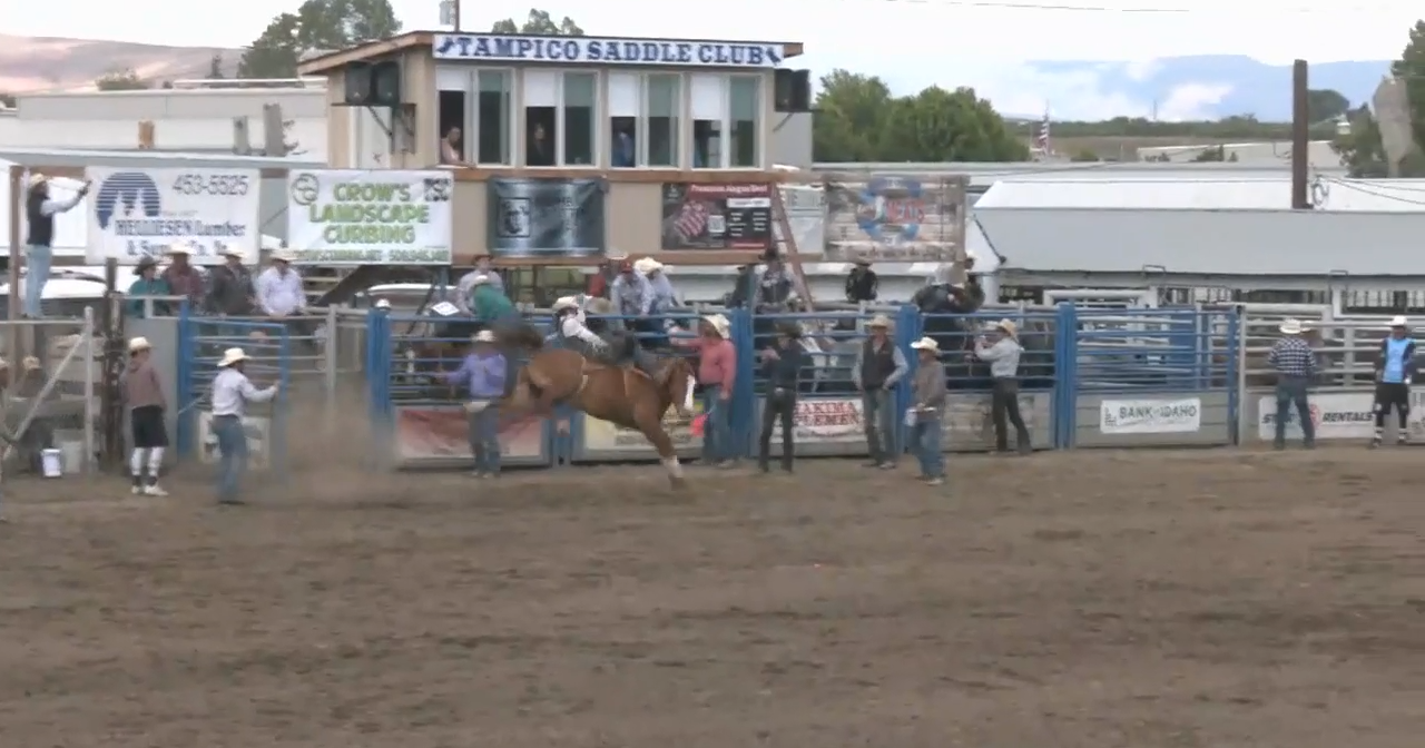 Wiley City Rodeo celebrates 75th anniversary - Vimarsana News